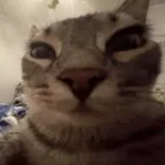 Gab